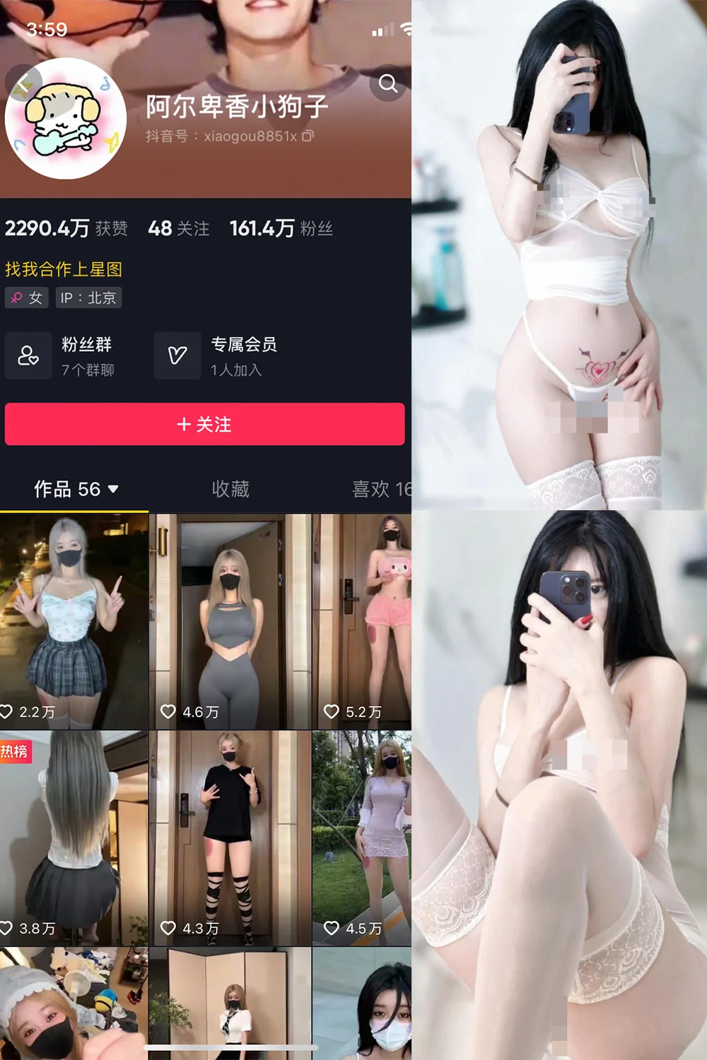 阿尔卑香小狗子写真图片(2)