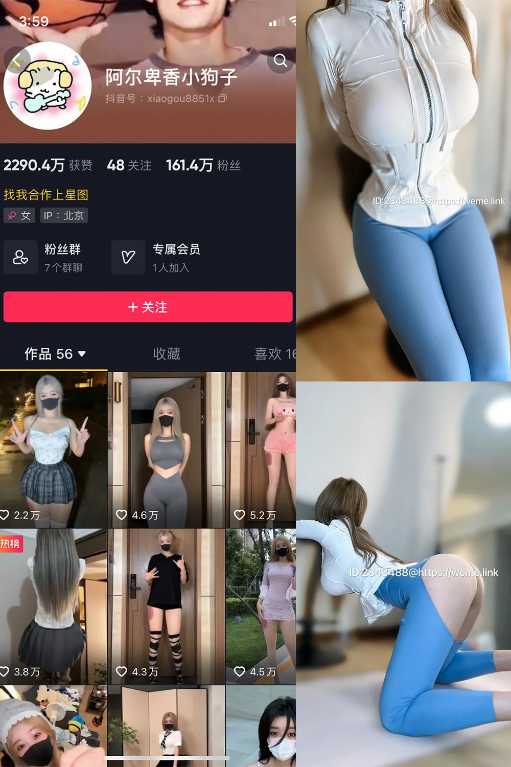 阿尔卑香小狗子写真图片(5)